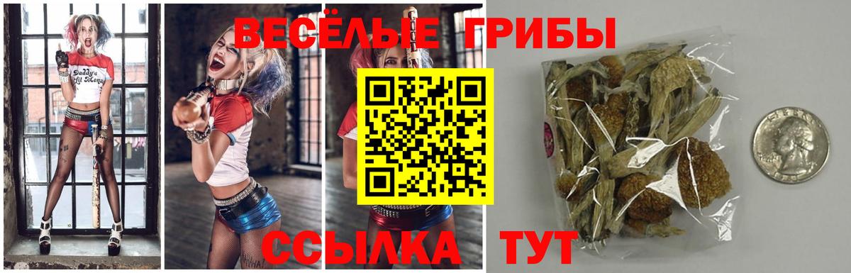 Псилоцибиновые грибы Psilocybine cubensis Магнитогорск